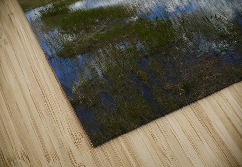 Reflections Lisa Ann puzzle