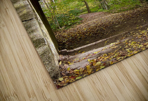 In The Forrest Lisa Ann puzzle