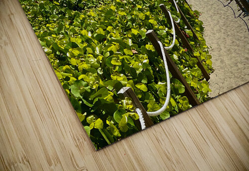 Beach Pathways Lisa Ann puzzle