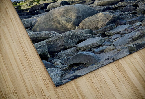 Waterscape Lisa Ann puzzle