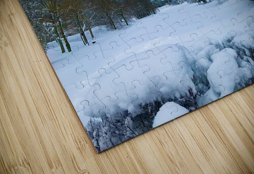 Winterland Lisa Ann puzzle