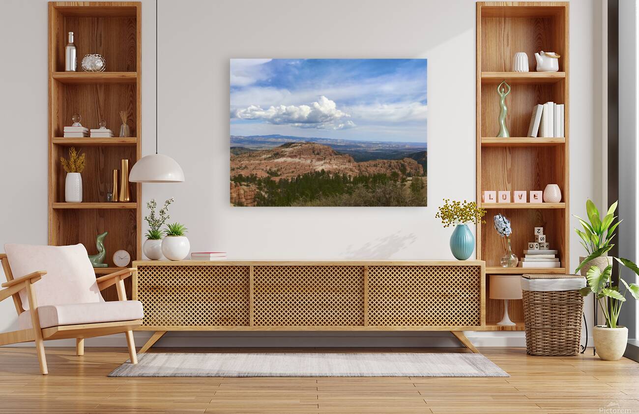 Cloudy Skies Reproduction