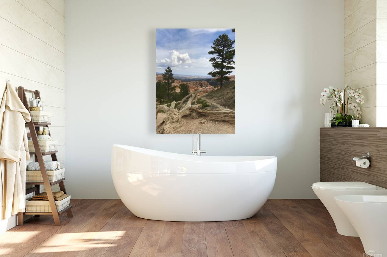 Bryce Canyon Reproduction