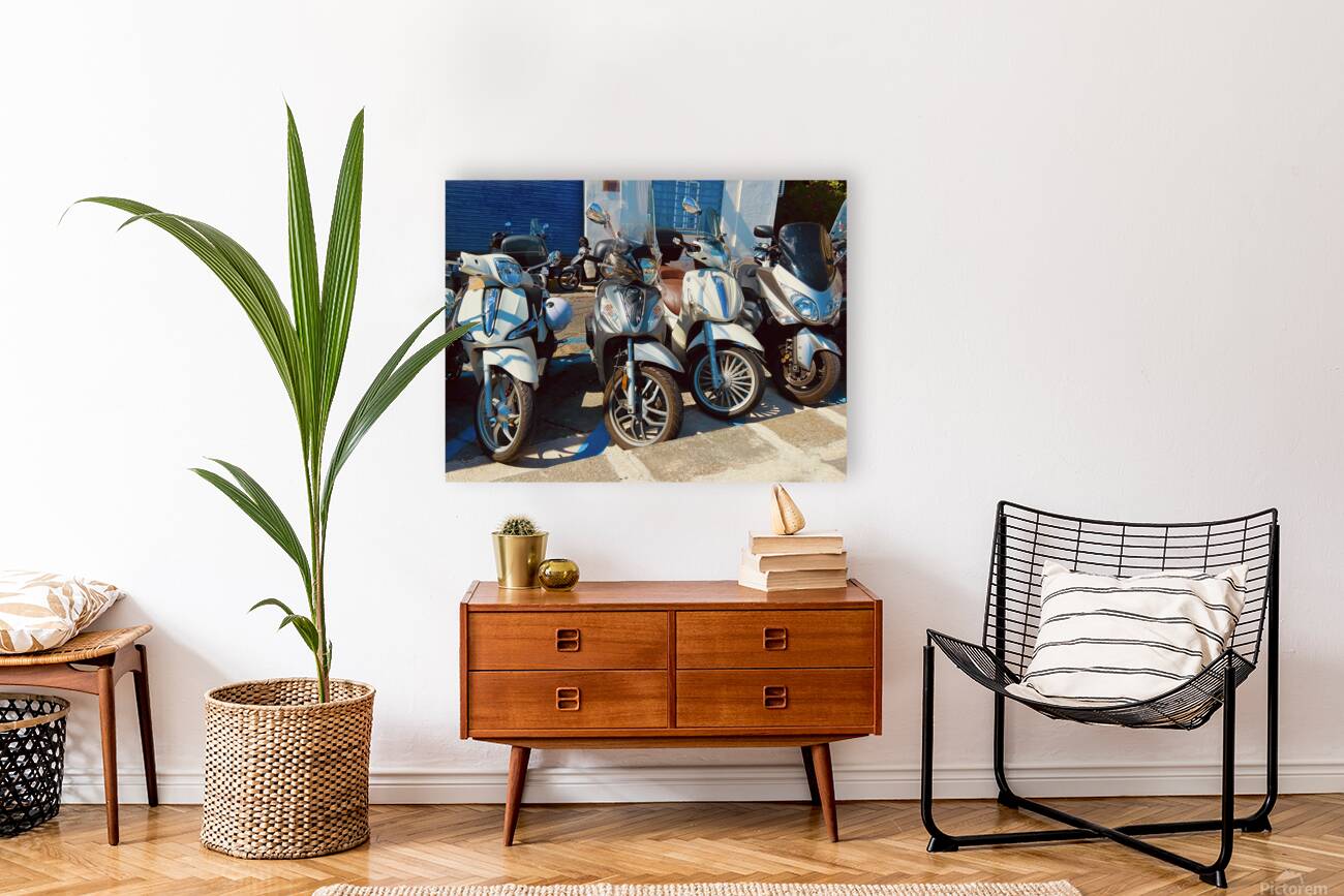 Vespas Reproduction