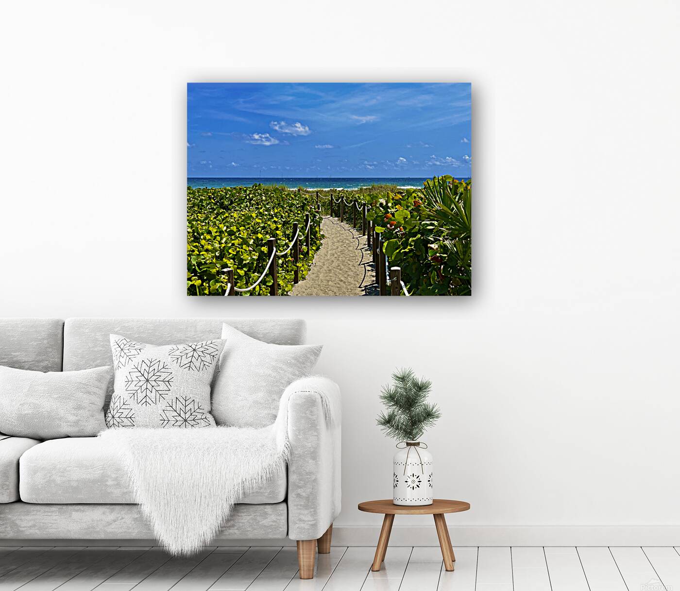 Beach Pathways Reproduction