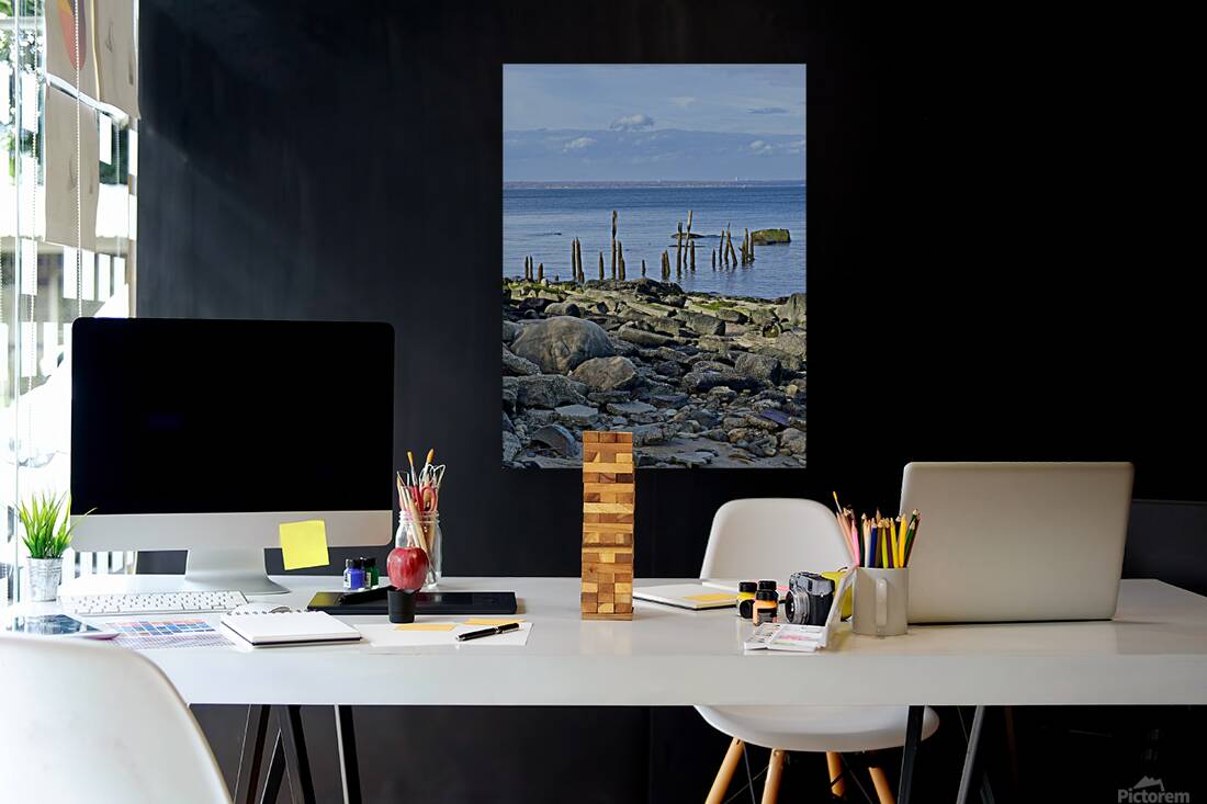 Waterscape Reproduction