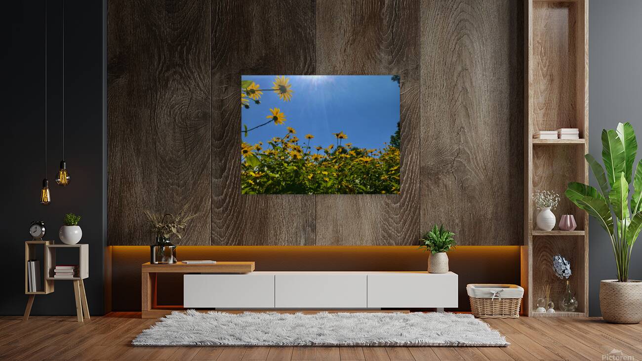 Flowers Rising Reproduction