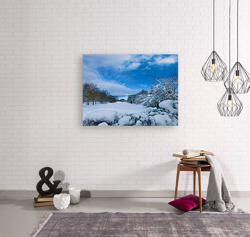 Winterland Reproduction