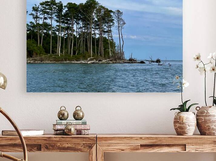 Coastal Heights Reproduction