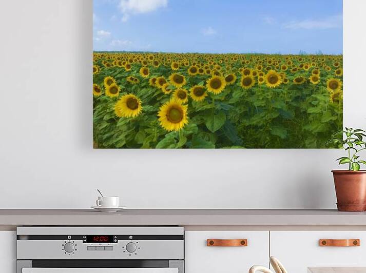 Sunflowers For Days Reproduction