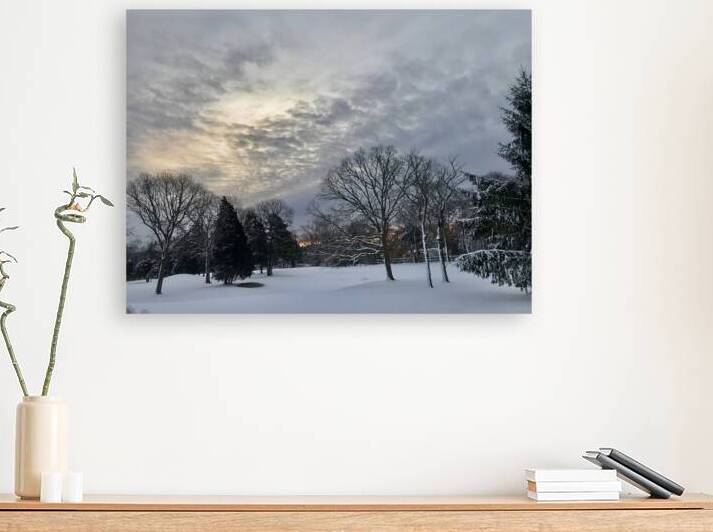 Wintery Snowscape by Lisa Ann
