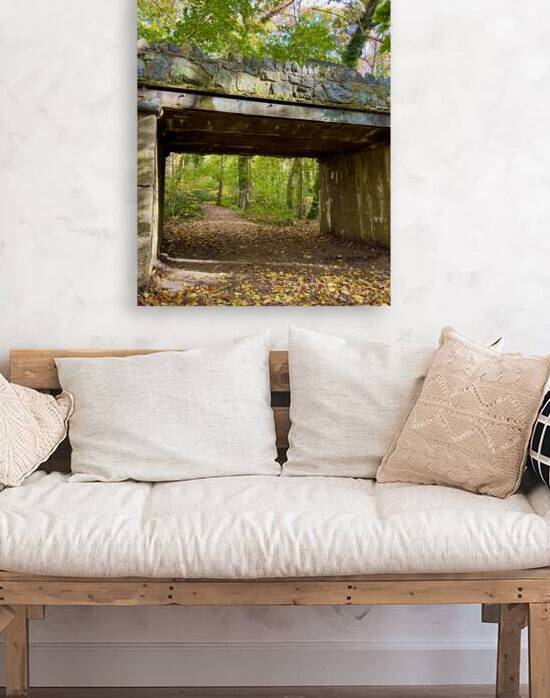 In The Forrest by Lisa Ann