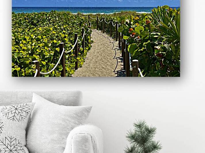 Beach Pathways by Lisa Ann