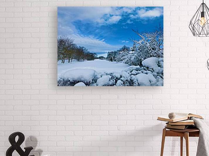 Winterland by Lisa Ann
