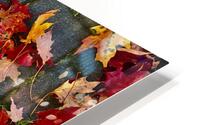Autumn Leaves HD Metal print