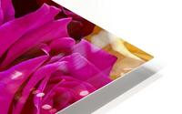 Roses For Days HD Metal print