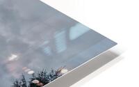 Wintery Snowscape HD Metal print