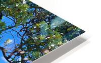 Oh The View HD Metal print