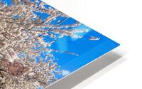 Courtside HD Metal print