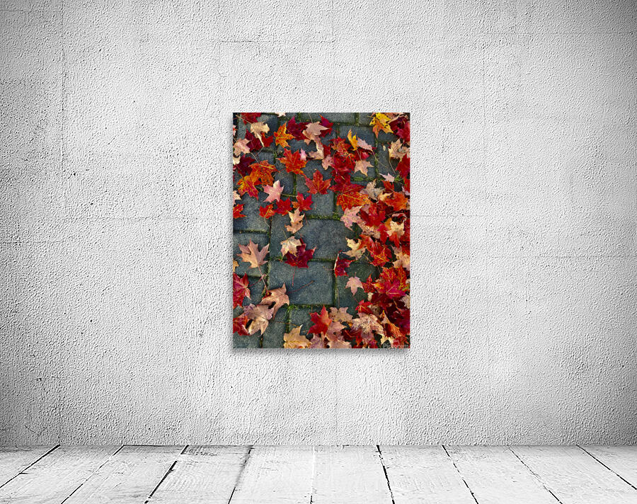 Autumn Leaves Wall Preview