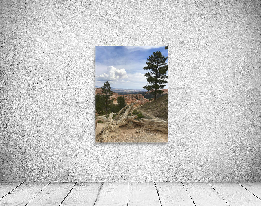 Bryce Canyon Wall Preview