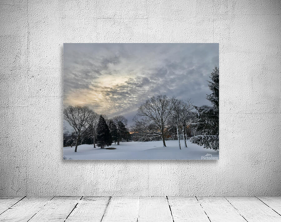 Wintery Snowscape Wall Preview