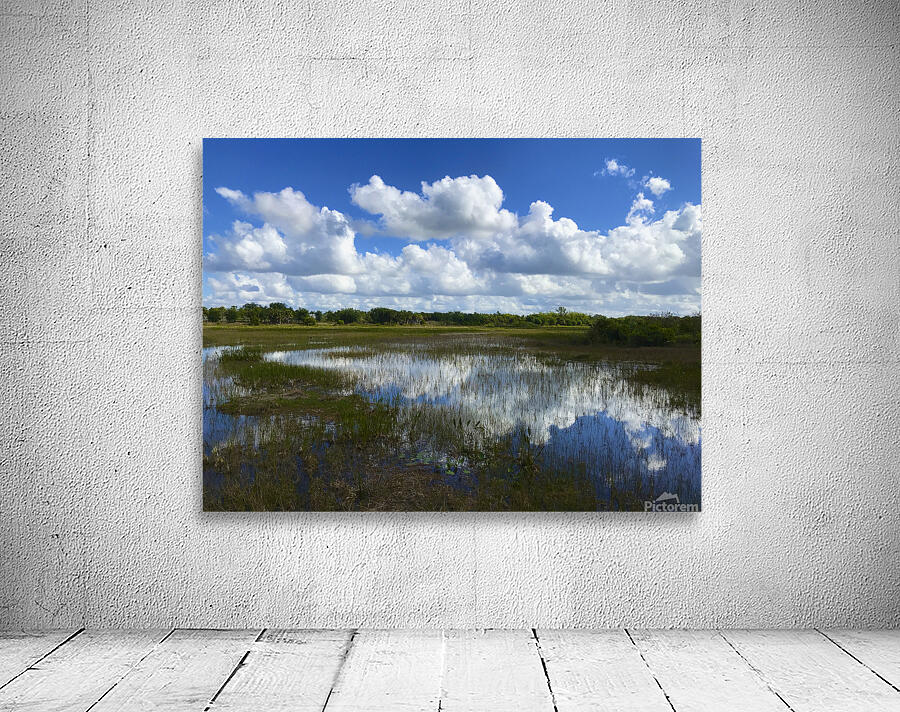 Reflections Wall Preview