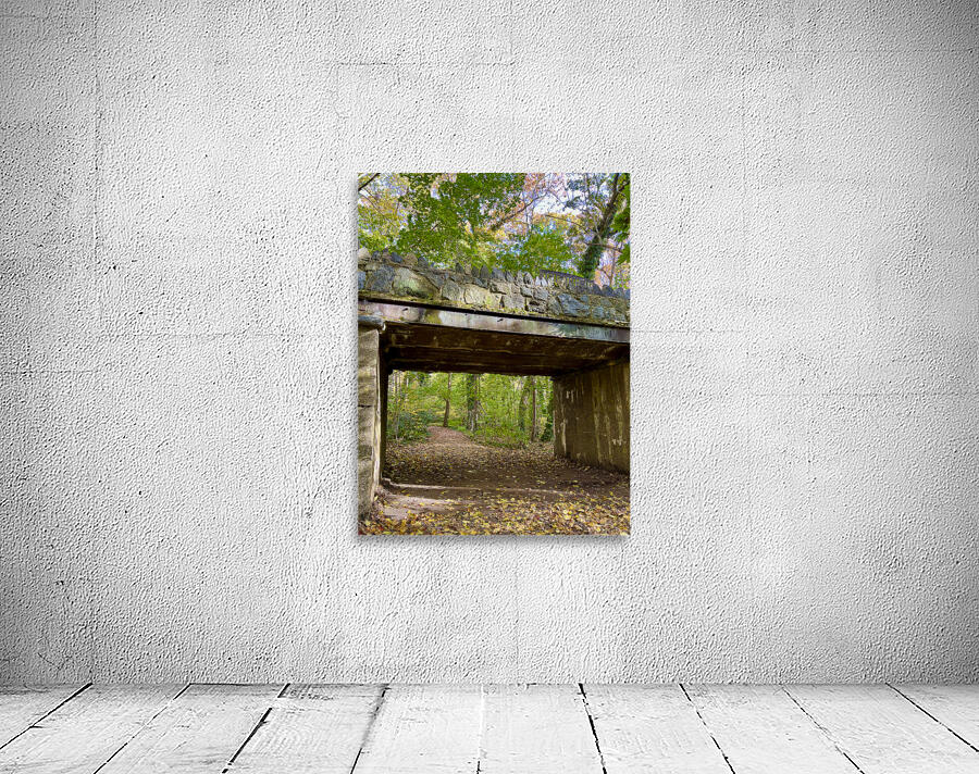 In The Forrest Wall Preview