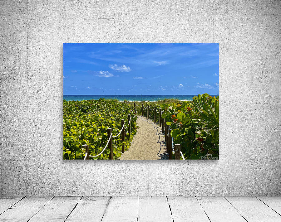 Beach Pathways Wall Preview
