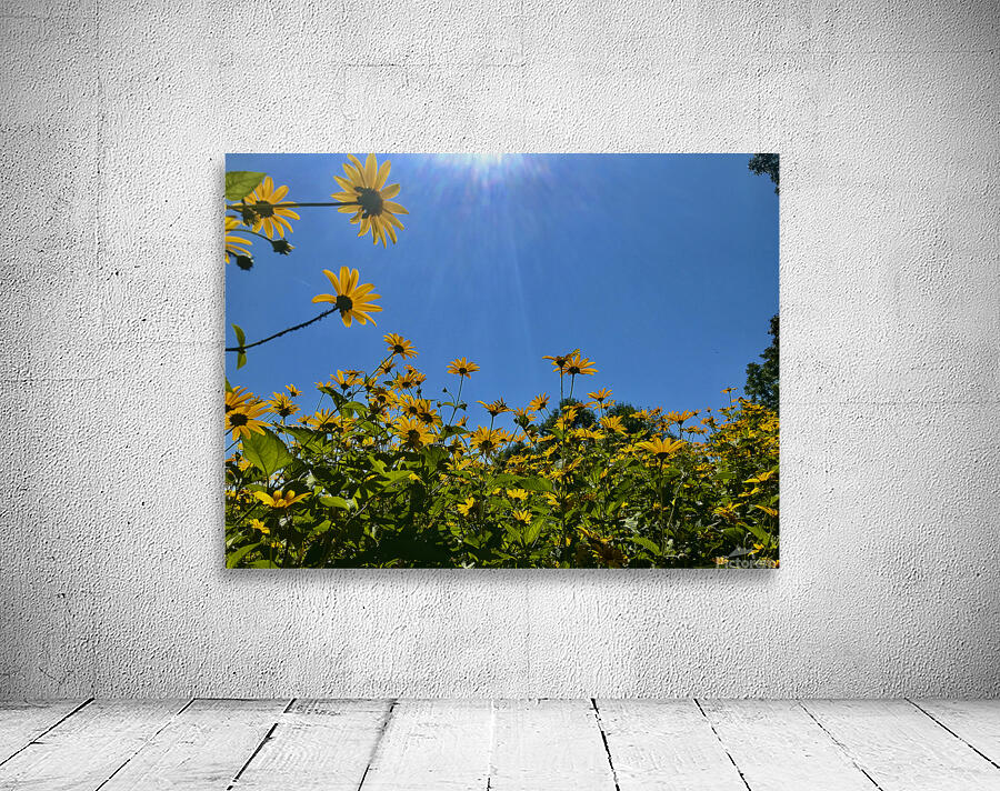 Flowers Rising Wall Preview