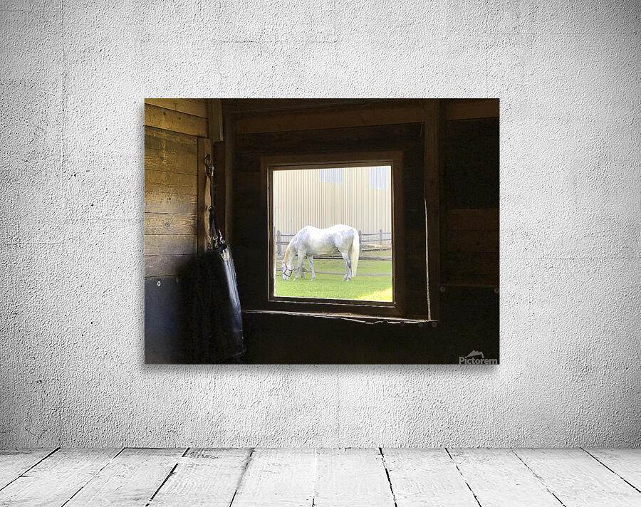 The View Wall Preview