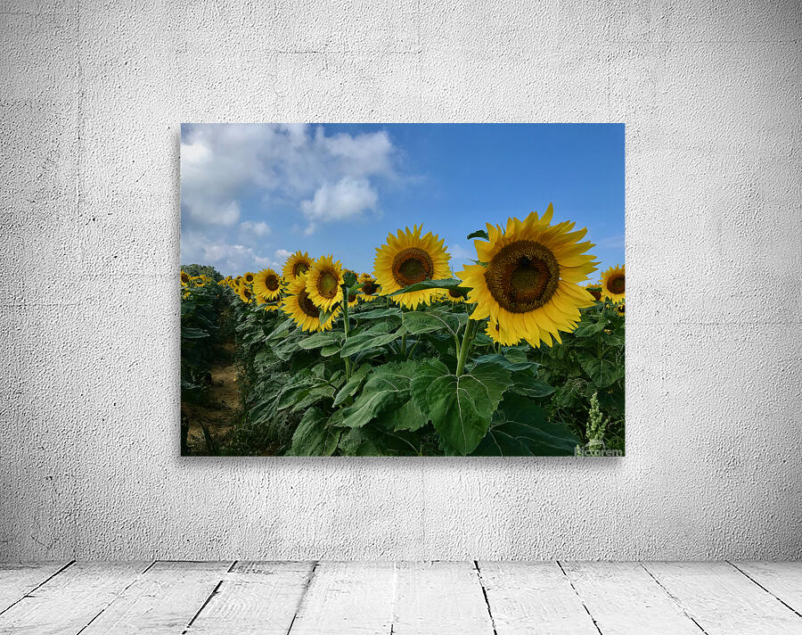 Stand And Deliver Wall Preview