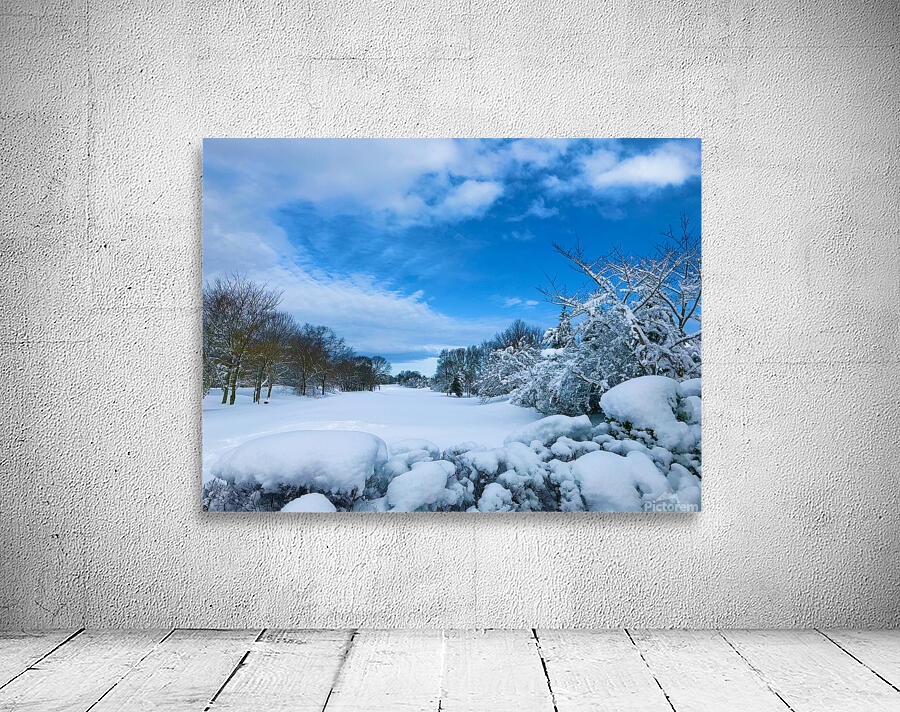 Winterland Wall Preview