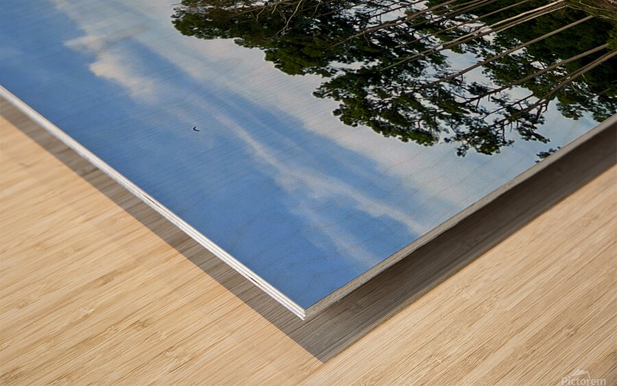 Coastal Heights Wood print