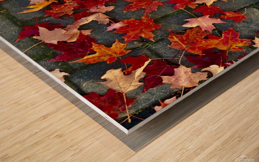 Autumn Leaves Wood print