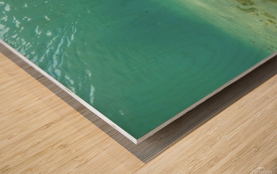 Sweet Manatee Wood print
