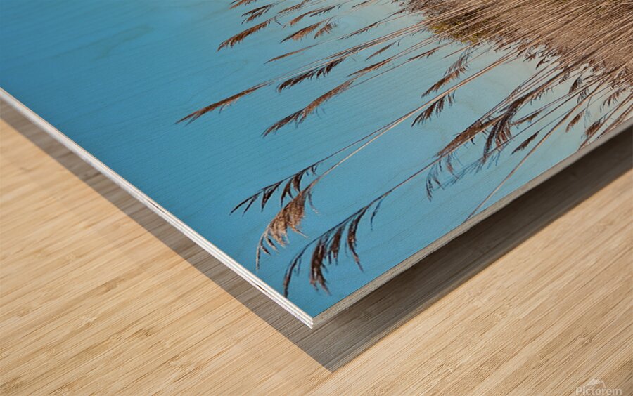 Fire Island Lighthouse Wood print
