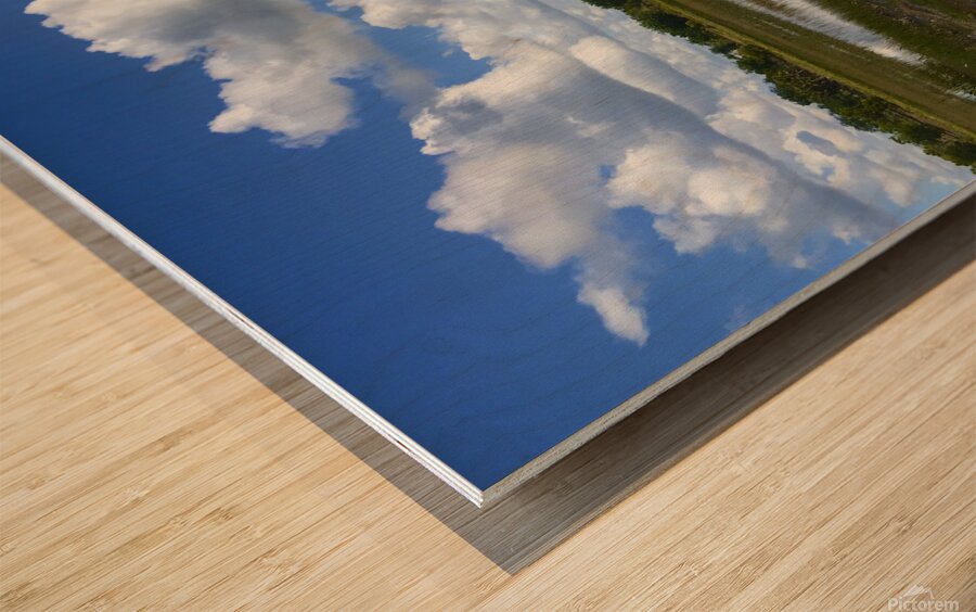 Reflections Wood print