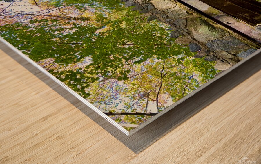 In The Forrest Wood print
