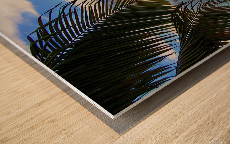 St. Maarten Nights Wood print