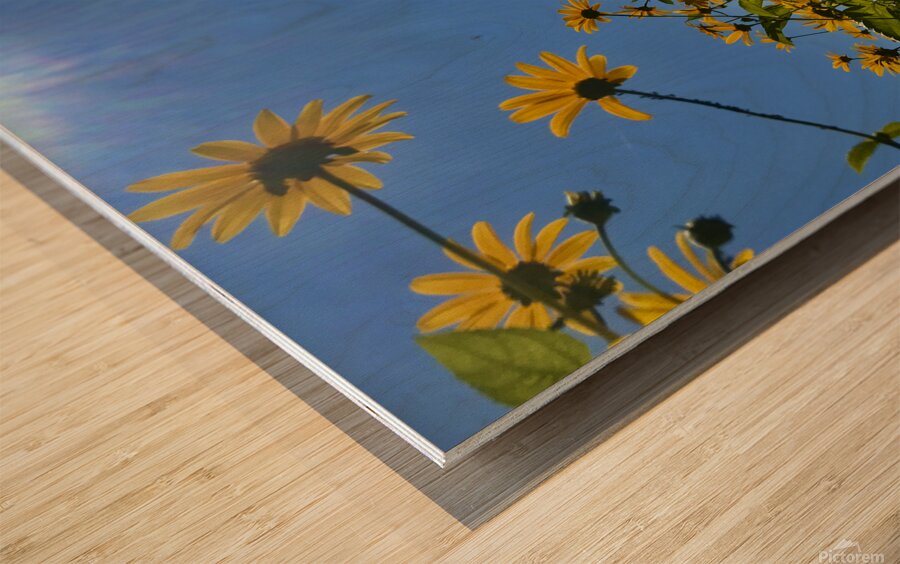 Flowers Rising Wood print