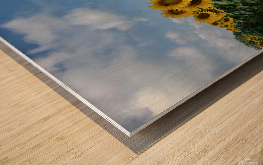 Stand And Deliver Wood print