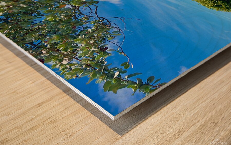 Oh The View Wood print