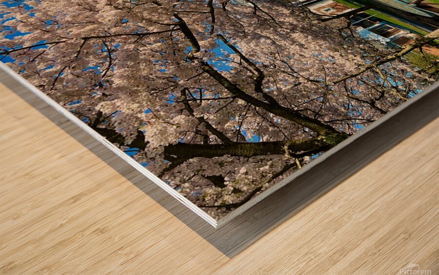 Courtside Wood print
