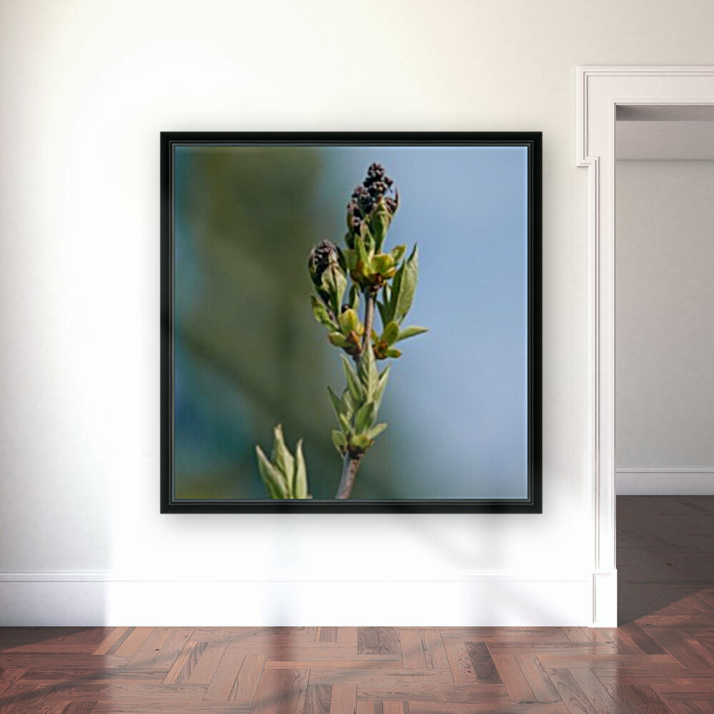Wild Flowers 3 Reproduction