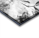 Moth BW Acrylic print