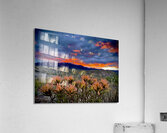 Salmon Spring Acrylic Print