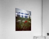 Beauty in Ashes Acrylic Print