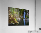 Explorations Acrylic Print