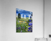 When Things Bloom Acrylic Print